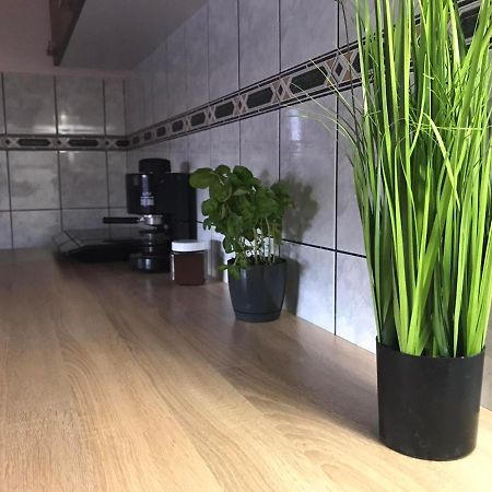 Tahiti Apartman Lejlighed Hajdúszoboszló Eksteriør billede